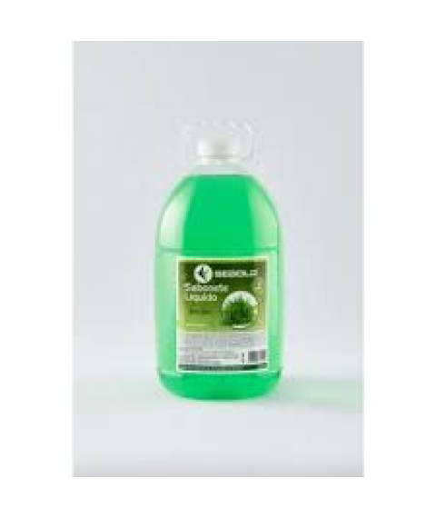 Sabonete liq. 5 lt ERVA DOCE Sebold 2 / 970