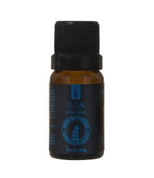 Essencia 10ml MUNDO DUBAI Via Aroma 56114