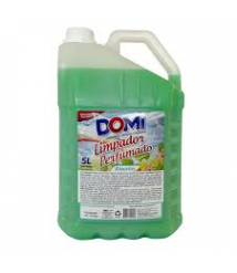 Limpador perfumado 5 lt Domi Alecrim 1000