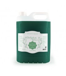 Sabonete espuma 5 lt Botanic erva doce 70